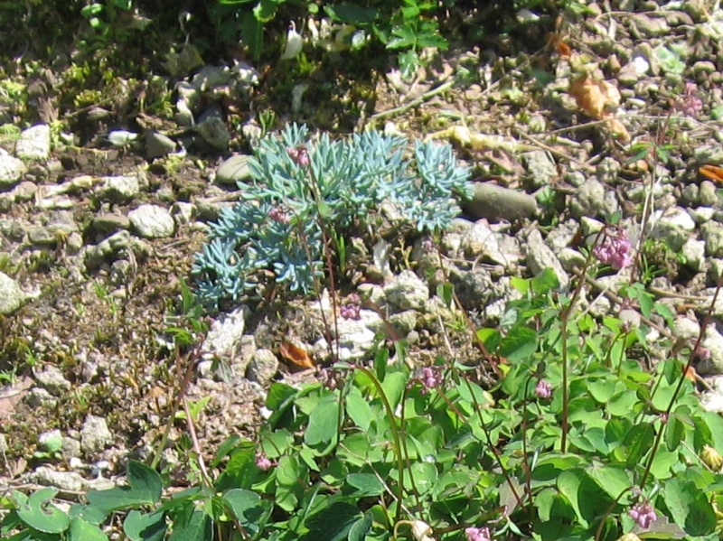 f:id:atarou:20110629195008j:image