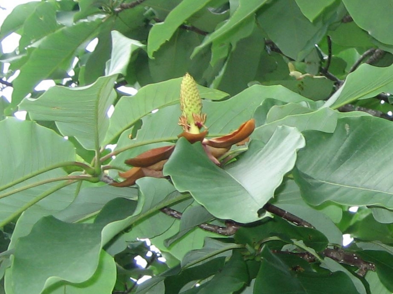 f:id:atarou:20110630071841j:image