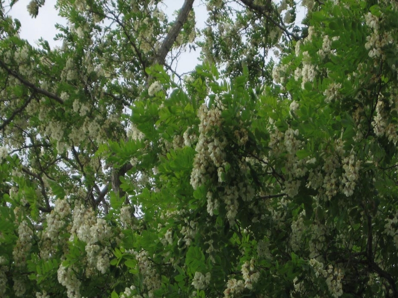 f:id:atarou:20110630072354j:image