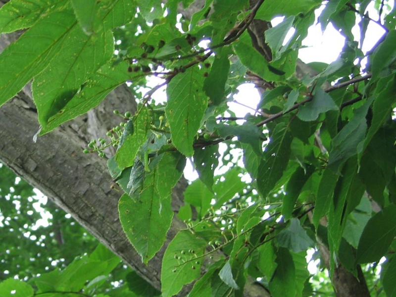 f:id:atarou:20110630072656j:image