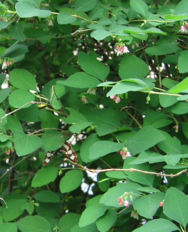 f:id:atarou:20110704164755j:image f:id:atarou:20110704164755j:image
