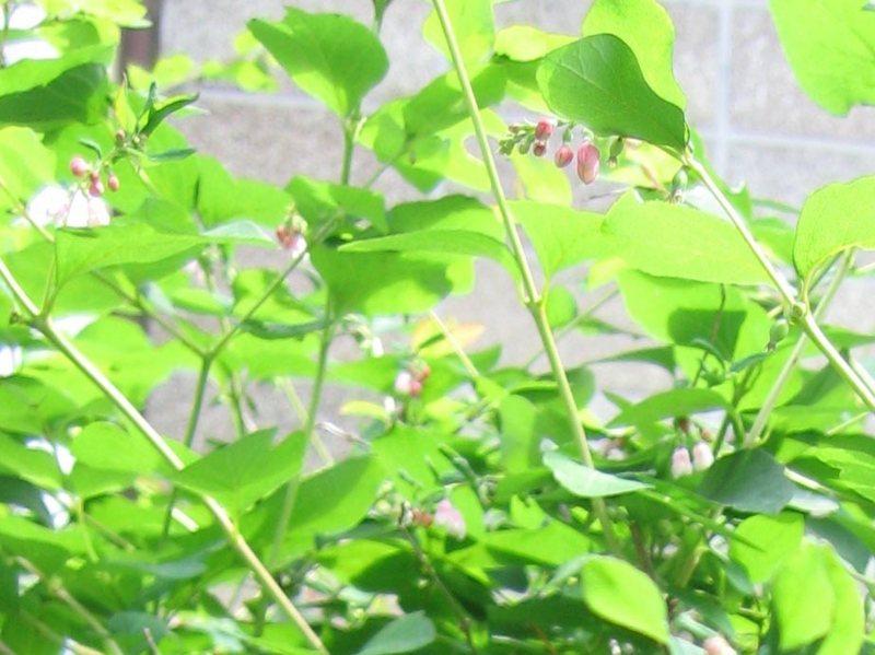 f:id:atarou:20110704171054j:image f:id:atarou:20110704171054j:image