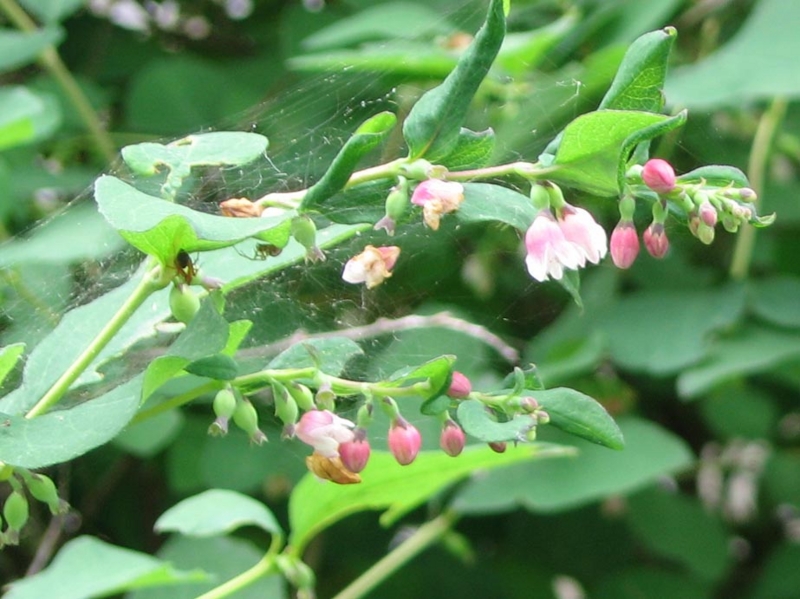f:id:atarou:20110704171055j:image f:id:atarou:20110704171055j:image