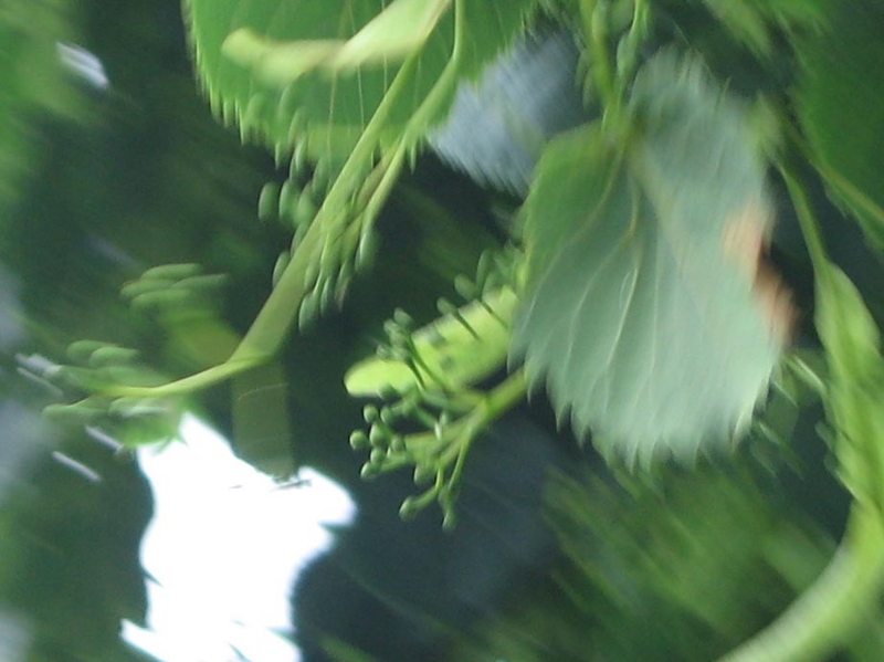 f:id:atarou:20110705062111j:image f:id:atarou:20110705062111j:image