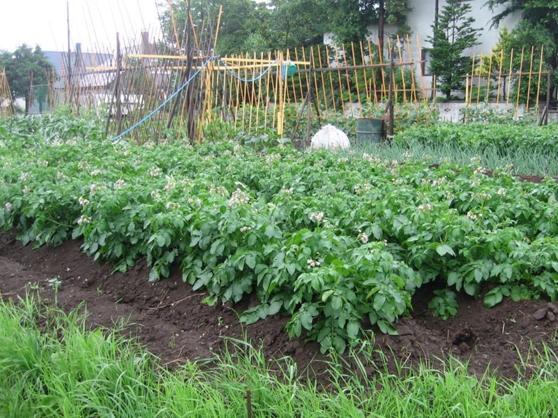 f:id:atarou:20110705062747j:image f:id:atarou:20110705062747j:image
