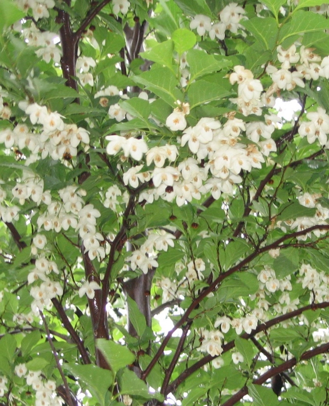 f:id:atarou:20110705063327j:image f:id:atarou:20110705063327j:image