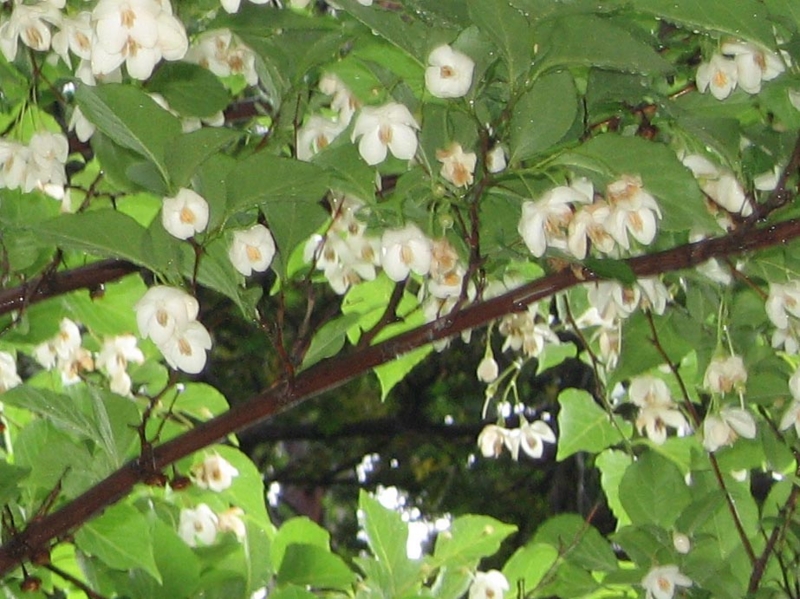 f:id:atarou:20110705063329j:image f:id:atarou:20110705063329j:image