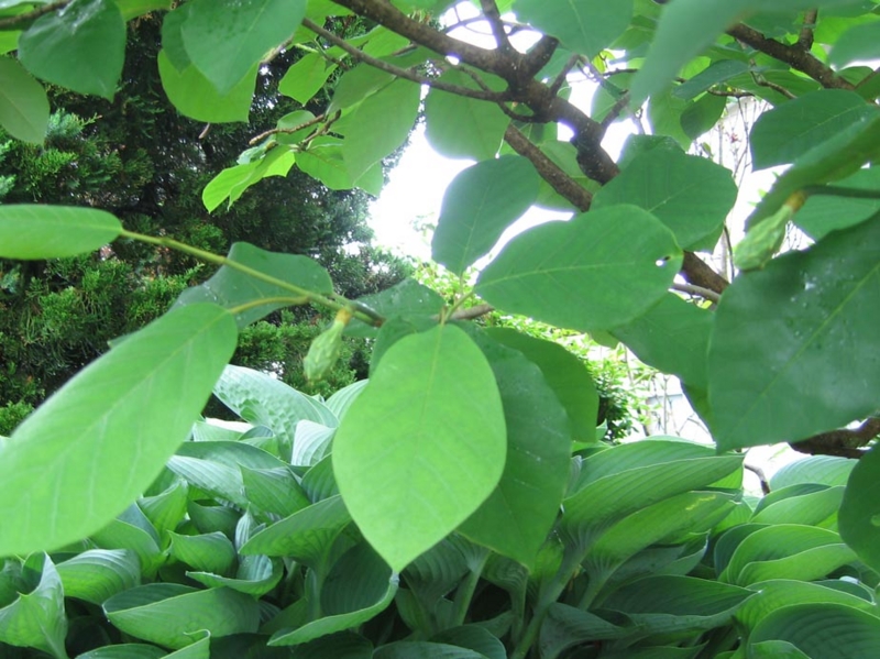 f:id:atarou:20110705064048j:image f:id:atarou:20110705064048j:image