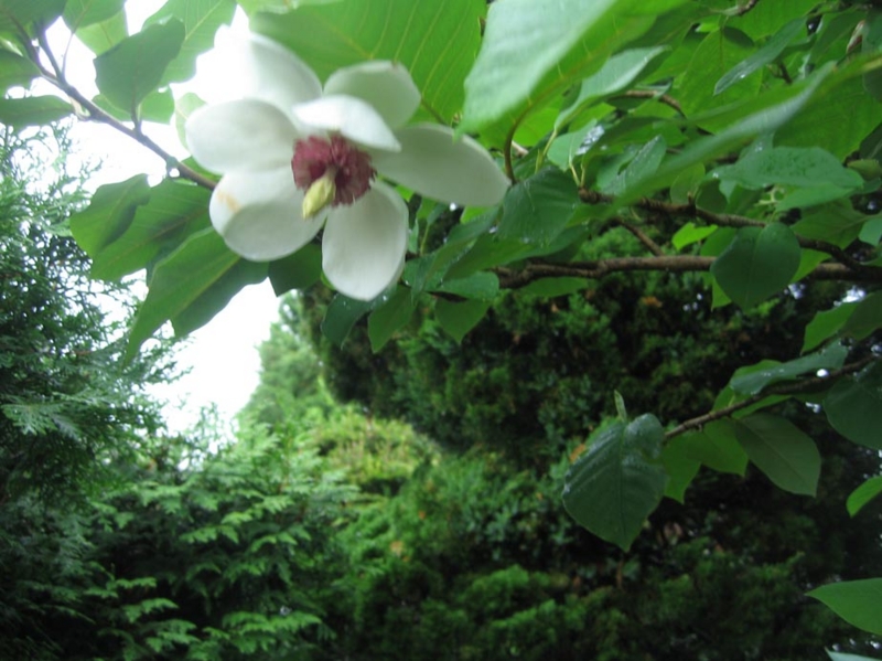 f:id:atarou:20110705065010j:image f:id:atarou:20110705065010j:image