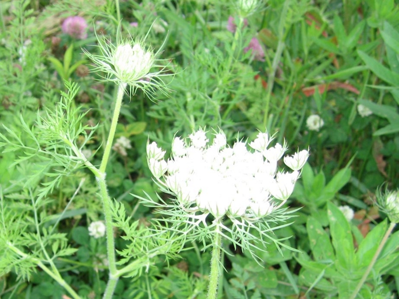 f:id:atarou:20110711180431j:image