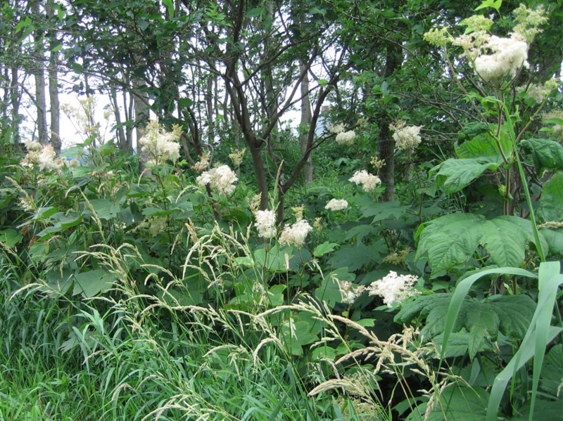 f:id:atarou:20110712063958j:image