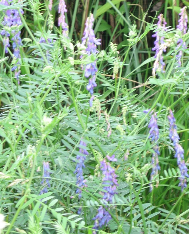 f:id:atarou:20110712181629j:image f:id:atarou:20110712181629j:image