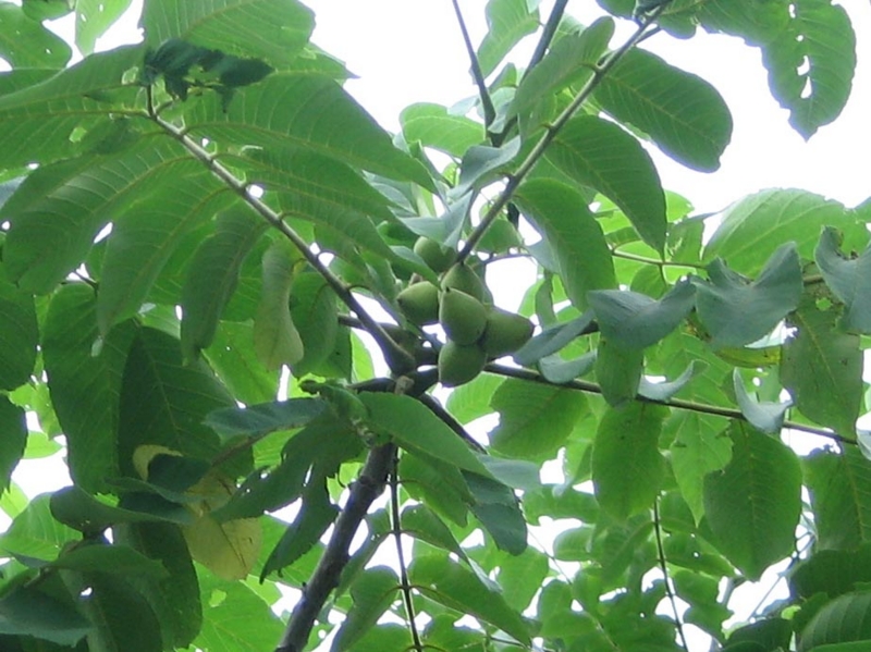 f:id:atarou:20110712182026j:image f:id:atarou:20110712182026j:image