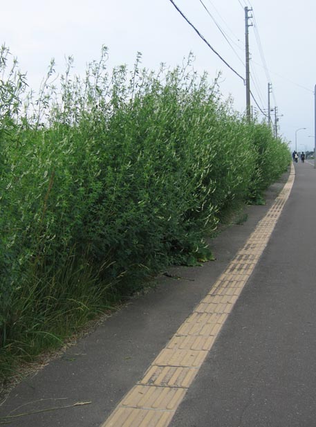 f:id:atarou:20110712182931j:image f:id:atarou:20110712182931j:image