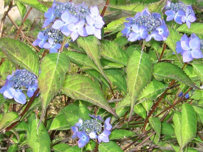 f:id:atarou:20110713063334j:image f:id:atarou:20110713063334j:image