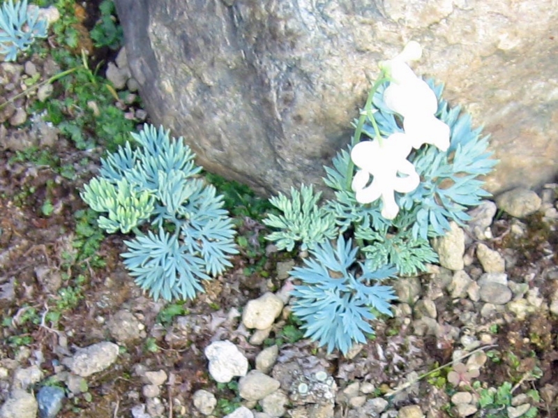 f:id:atarou:20110713063336j:image f:id:atarou:20110713063336j:image