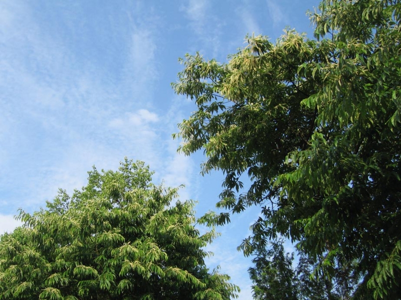 f:id:atarou:20110713065627j:image f:id:atarou:20110713065627j:image
