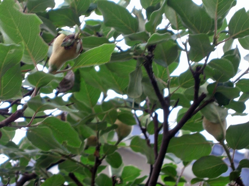 f:id:atarou:20110718065438j:image f:id:atarou:20110718065438j:image