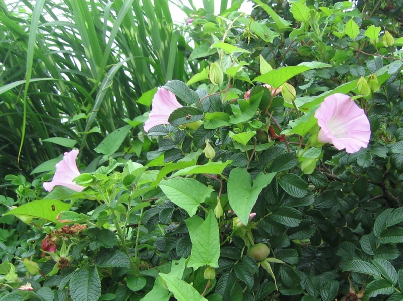 f:id:atarou:20110718070115j:image f:id:atarou:20110718070115j:image