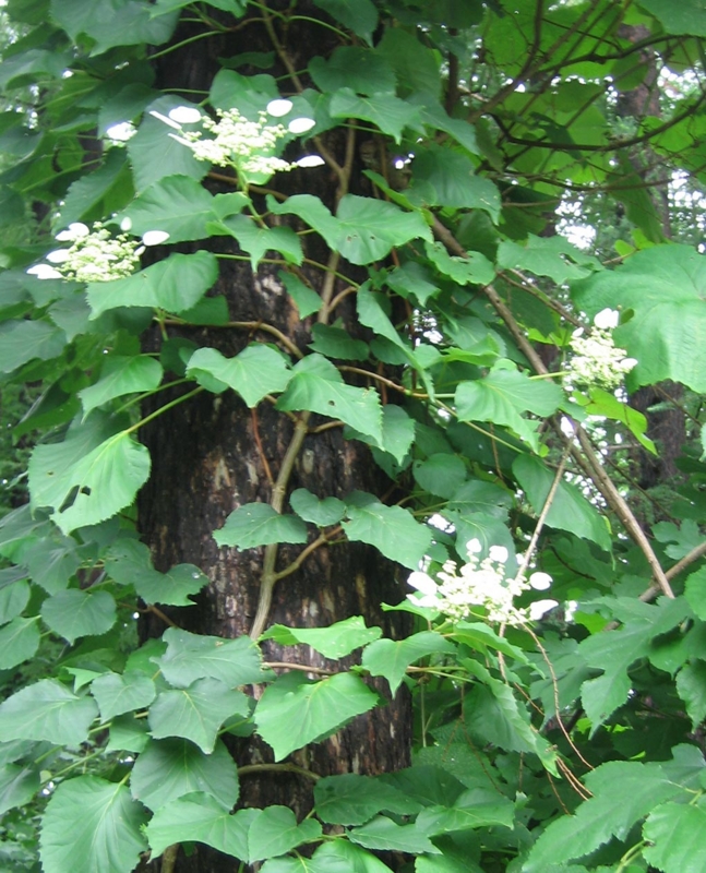 f:id:atarou:20110718070117j:image f:id:atarou:20110718070117j:image
