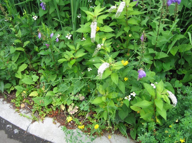 f:id:atarou:20110718103231j:image f:id:atarou:20110718103231j:image