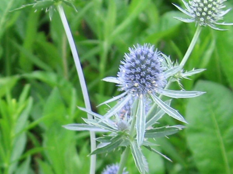 f:id:atarou:20110723200121j:image