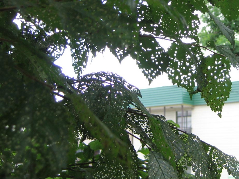 f:id:atarou:20110724060626j:image
