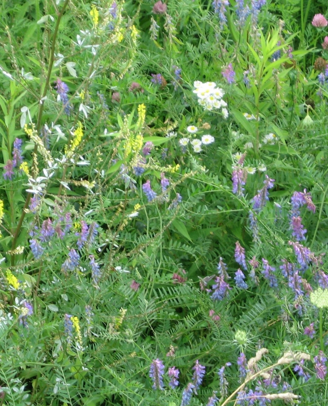 f:id:atarou:20110724062043j:image