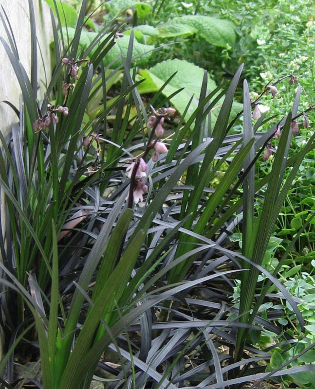 f:id:atarou:20110724180452j:image f:id:atarou:20110724180452j:image