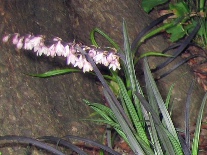 f:id:atarou:20110724182452j:image f:id:atarou:20110724182452j:image