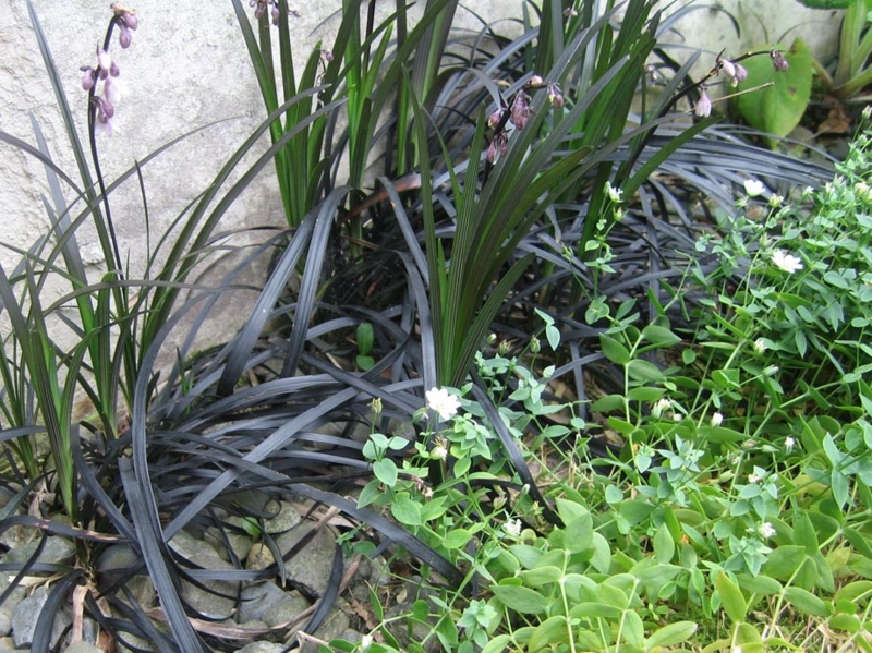 f:id:atarou:20110724182453j:image f:id:atarou:20110724182453j:image