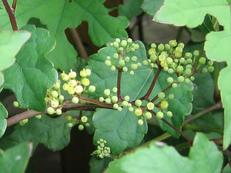 f:id:atarou:20110725065417j:image f:id:atarou:20110725065417j:image