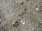 20110905070732