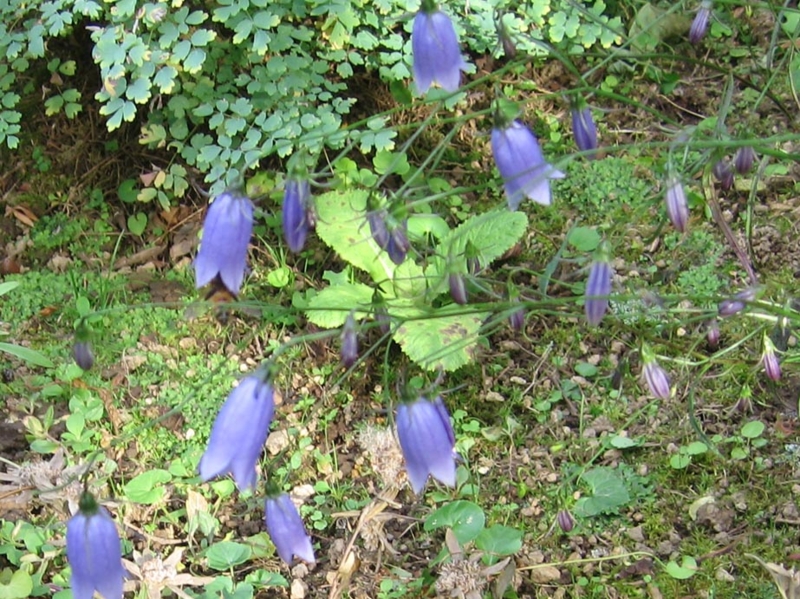 f:id:atarou:20110929193151j:image
