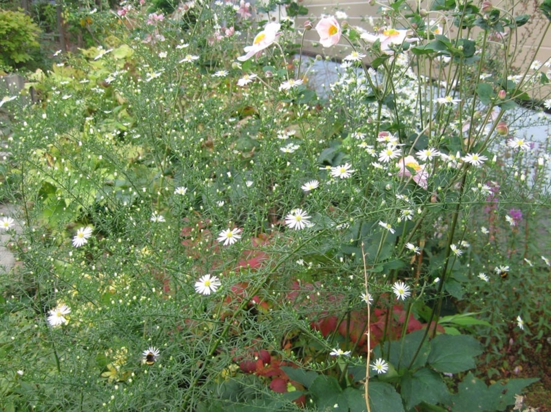 f:id:atarou:20110929193327j:image