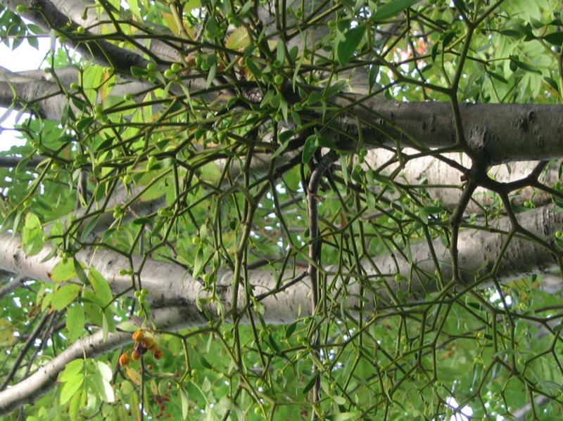 f:id:atarou:20110930065402j:image