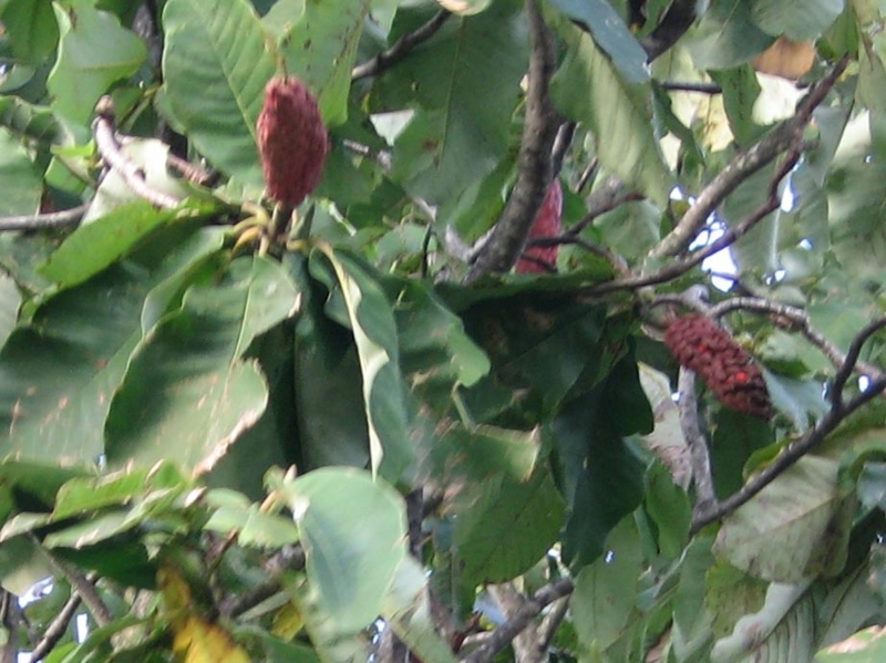 f:id:atarou:20110930071612j:image