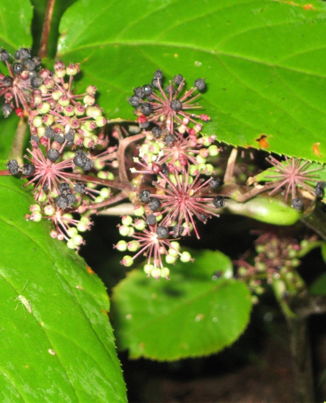 f:id:atarou:20110930185851j:image f:id:atarou:20110930185851j:image