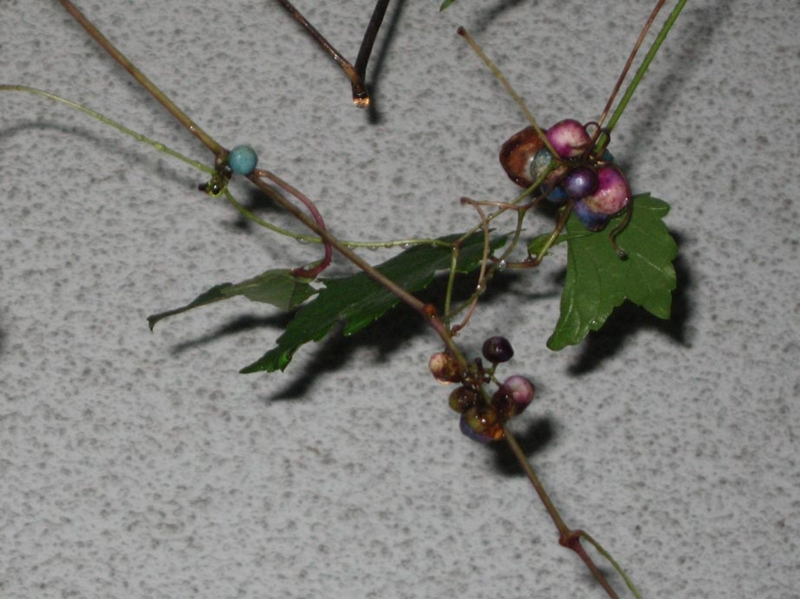 f:id:atarou:20110930192118j:image f:id:atarou:20110930192118j:image