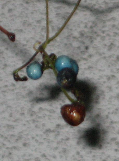 f:id:atarou:20110930192126j:image f:id:atarou:20110930192126j:image