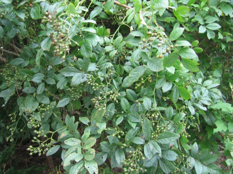 f:id:atarou:20111001065433j:image f:id:atarou:20111001065433j:image