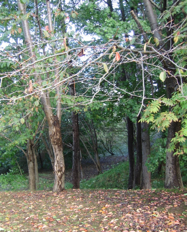 f:id:atarou:20111002064323j:image