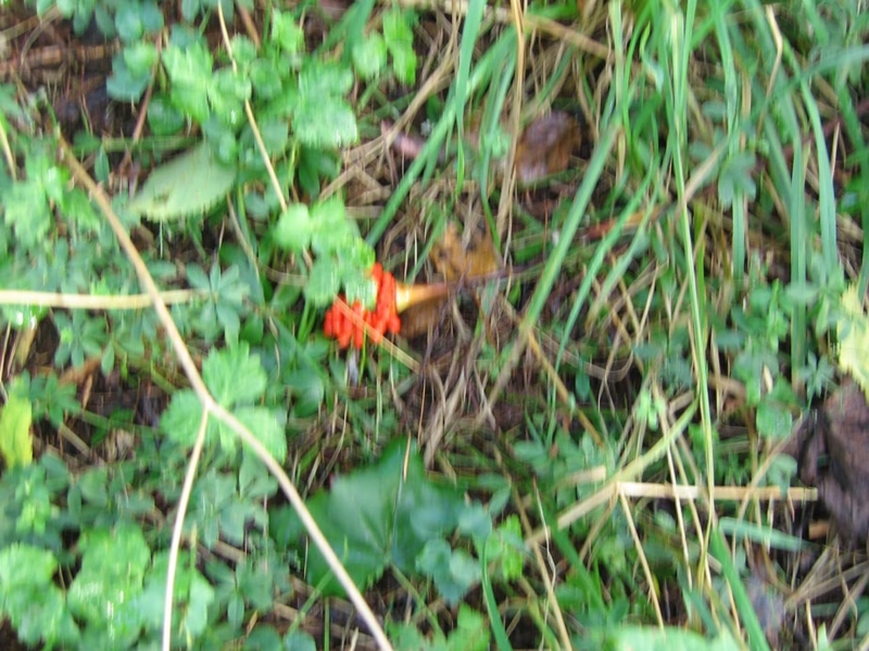 f:id:atarou:20111002065926j:image