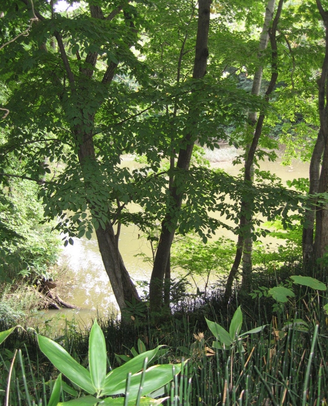 f:id:atarou:20111002180841j:image