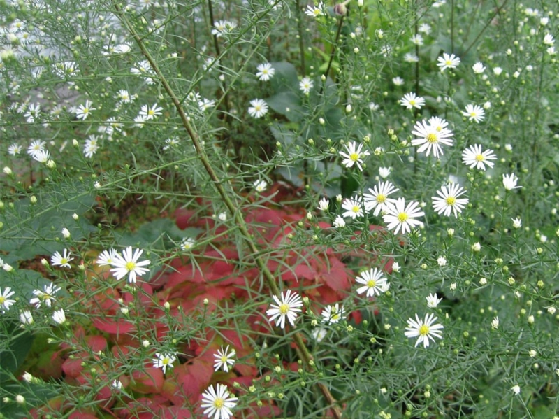 f:id:atarou:20111002181954j:image