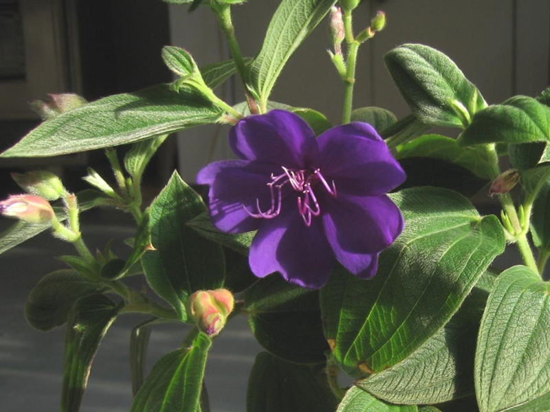 f:id:atarou:20111002182002j:image