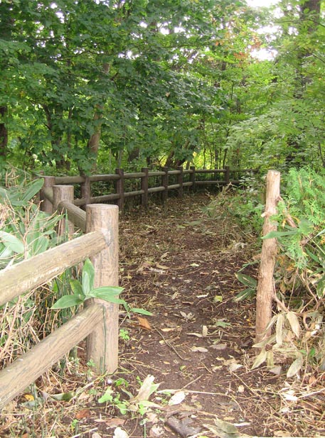 f:id:atarou:20111003063521j:image