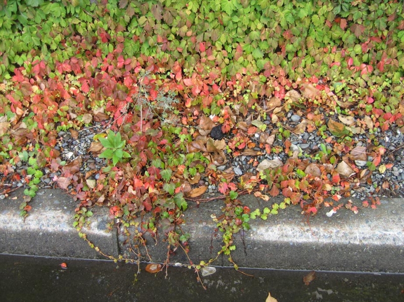 f:id:atarou:20111003065731j:image
