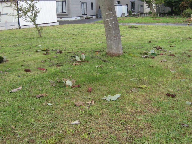 f:id:atarou:20111004063958j:image