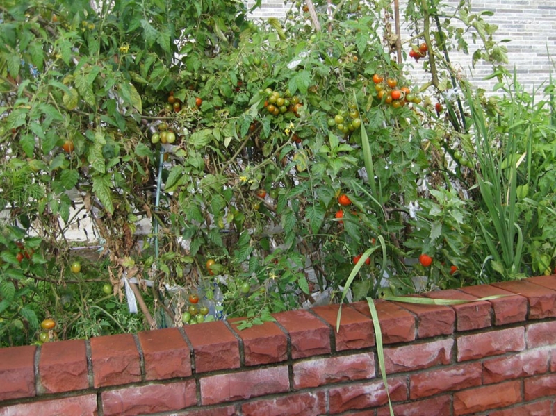f:id:atarou:20111004065012j:image